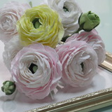 粘土のお花「ラナンキュラス」