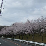 フラワー　クラフト教室　極楽・娯楽教室　「花ざかり」