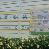 極楽・娯楽教室　Flower＆Craftからのお知らせです。