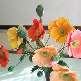 極楽・娯楽教室　Flower＆Craft　ボタニカル1のお知らせです。
