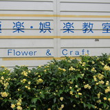 極楽・娯楽教室　Flower＆Craft　チョツト余談いたします。