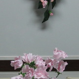 極楽・娯楽教室　Flower＆Craft　お知らせいたします。
