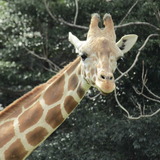 極楽・娯楽教室・Flower＆Craft　チョツト（東山動植物園）余談いたします。