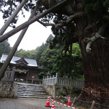 極楽・娯楽教室　Flower＆Craft「隠岐の島」三日目と四日目。