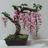 極楽娯楽・娯楽教室　Flower＆Craft（新）藤の花のご紹介です。