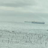 娯楽・娯楽教室　Flower＆Craft「知多半島」