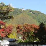 極楽娯楽・娯楽教室　Flower＆Craft　「広島・山口」二日目。