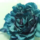 極楽・娯楽教室　Flower＆Craft「重要なお知らせ」