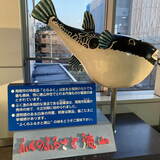 極楽娯楽・娯楽教室　Flower＆Craft「広島・山口」三日目。