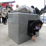 極楽娯楽・娯楽教室　Flower＆Craft「広島・山口」三日目。