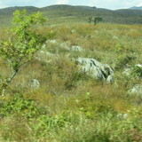 極楽娯楽・娯楽教室　Flower＆Craft「広島・山口」三日目。