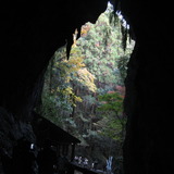 極楽娯楽・娯楽教室　Flower＆Craft「広島・山口」三日目。